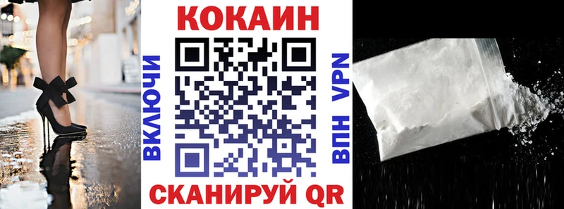 цены   Гдов  COCAIN Fish Scale 