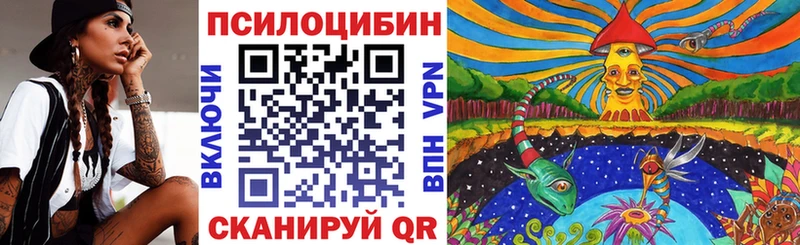 Галлюциногенные грибы Cubensis  Гдов 
