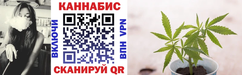 Бошки марихуана Amnesia  Гдов 